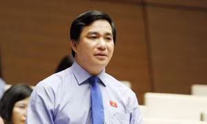 Giao quyền quyết định cho người đứng đầu đặc khu để đảm bảo tính vượt trội 
