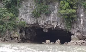 Bảo tồn và quản lý đất ngập nước - Bài 2: Lưu giữ giá trị thiên nhiên tại Vườn quốc gia Bái Tử Long