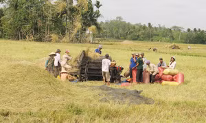 TP Hồ Chí Minh
