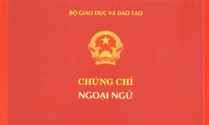 Sở hữu chứng chỉ tiếng Anh quốc tế IELTS, TOEFL có cơ hội xét tuyển thẳng vào trường đại học nào?