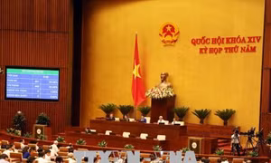 Năm 2019: Quốc hội sẽ giám sát về thực hiện Luật Đất đai