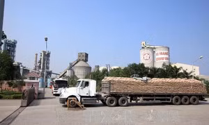 Quy hoạch các nhà máy xi măng gắn với vùng nguyên liệu