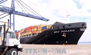 Bà Rịa-Vũng Tàu: Cảng SSIT đón chuyến tàu container đầu tiên 