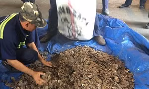 TP Hồ Chí Minh