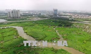 Dự án Khu đô thị mới Thủ Thiêm - Bài 1: 'Rừng' văn bản pháp lý 