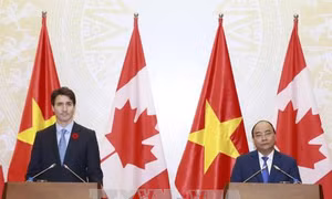 Xu thế tăng cường quan hệ Canada - Việt Nam mở ra cơ hội hợp tác lớn 