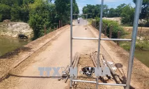Quảng Trị: Người dân thấp thỏm với những cây cầu... chờ sập 