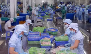 Giúp doanh nghiệp Việt Nam thâm nhập sâu vào thị trường Mỹ 