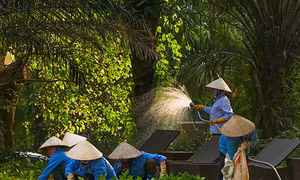 Khi những nông dân chuyển đổi nghề thành công