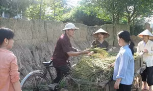 Đừng 'bỏ quên' mảng viết về nông thôn