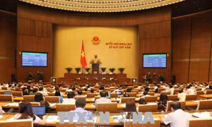 Phân định rõ nhiệm vụ, quyền hạn của Cảnh sát biển Việt Nam