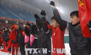 Khẳng định vị thế trên đấu trường quốc tế, 'hái quả ngọt' cùng U23 Việt Nam
