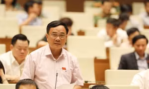 Đảm bảo cân đối cung cầu, khắc phục tình trạng 'được mùa mất giá'