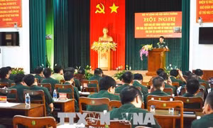 Tăng cường đấu tranh chống khai thác, vận chuyển gỗ trái phép 