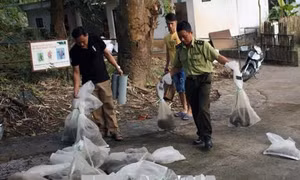 Bắt giữ vụ buôn lậu hơn 20 cá thể động vật hoang dã