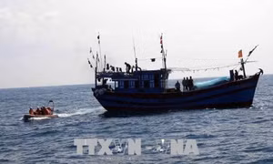 Kịp thời đưa thuyền viên bị bệnh trên biển về đất liền điều trị 
