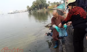 Nhà sư, chàng thanh niên Mỹ cùng chung tay 'thả cá văn minh'