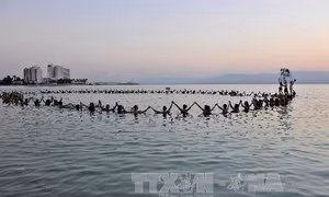 Jordan và giấc mơ 'hồi sinh' biển Chết 
