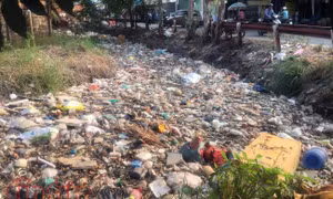 TP Hồ Chí Minh