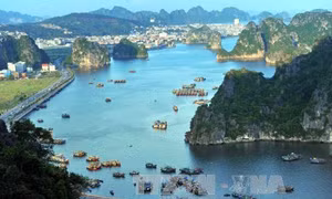Nhân Ngày nước thế giới 22/3: Bài cuối - Xử lý nước thải cho tàu du lịch tại Vịnh Hạ Long