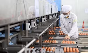 Đổi mới công nghệ là giải pháp 'sống còn' của doanh nghiệp