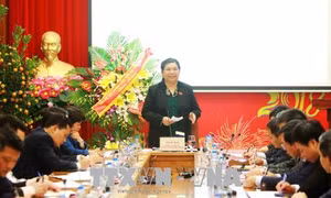 Phó Chủ tịch Quốc hội Tòng Thị Phóng thăm, làm việc với BHXH Việt Nam
