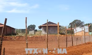 Ngang nhiên lấn chiếm, xây nhà trái phép trên đất lâm nghiệp tại Đắk Nông