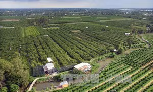 Nhiều chính sách thúc đẩy liên kết vùng 