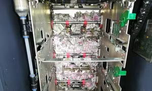 Chuột cắn nát hơn 17.000 USD trong máy ATM