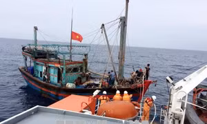 Kịp thời đưa ngư dân bị bệnh trên biển về đất liền cứu chữa 