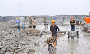 Kỷ luật cán bộ liên quan đến vi phạm tại toà nhà 8B Lê Trực 