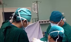 TP Hồ Chí Minh