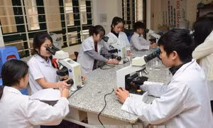 Đào tạo sau đại học: Cần tăng cả lượng và chất
