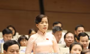 Đại biểu Quốc hội kỳ vọng vào phiên chất vấn sắp tới