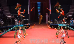 Xiếc Việt Nam không ngừng đổi mới