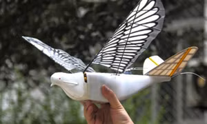 Trung Quốc sáng chế UAV chim bồ câu bịt mắt radar