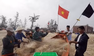 Quảng Trị tăng cường tuyên truyền pháp luật biển cho ngư dân