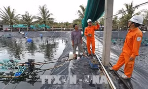 Cung ứng điện mùa khô - Bài 2: Sử dụng tiết kiệm, an toàn 