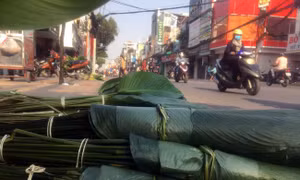 TP Hồ Chí Minh