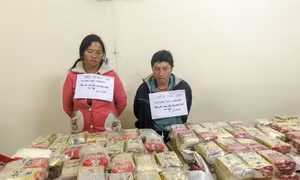 Nhét 489 bánh heroin vào trong bao tải chè Thái Lan vận chuyển đi tiêu thụ