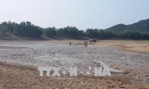 Hồ cạn gây khó khăn cho sản xuất nông nghiệp ở Bà Rịa-Vũng Tàu 
