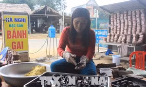 Làng bánh gai tiến Vua rộn ràng vào Tết