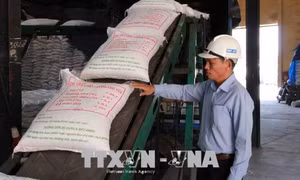 Đấu giá hạn ngạch thuế quan nhập khẩu 108.000 tấn đường