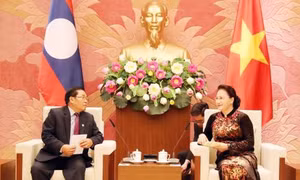 Chủ tịch Quốc hội Nguyễn Thị Kim Ngân tiếp Phó Chủ tịch Quốc hội Lào 