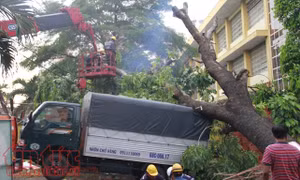 TP Hồ Chí Minh