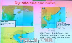 Họp khẩn ứng phó với áp thấp nhiệt đới diễn biến phức tạp