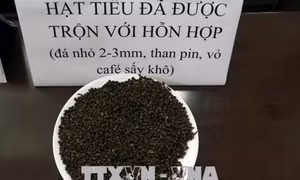 Thông tin mới nhất về vụ 'cà phê nhuộm pin' tại Đắk Nông 