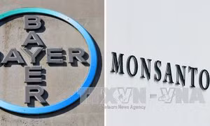 Bayer - Monsanto hoàn tất thương vụ sáp nhập lịch sử