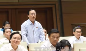 Đại biểu Quốc hội ủng hộ đề xuất công nhận liệt sĩ cho 2 'hiệp sĩ' bắt cướp 