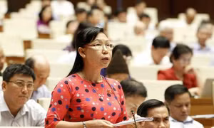 Các vấn đề an sinh xã hội làm 'nóng' nghị trường